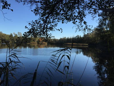 Die ehemaligen Lehmgruben - heute Wasser gefüllt, kein Ziegelbrand mehr