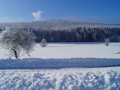 Bild 7 aus  Burgstallhof