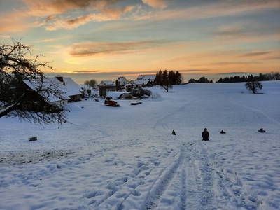 Bild 21 aus  Erholung - Natur pur - Urlaub auf dem Loyerhof