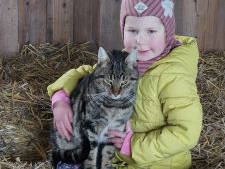 Bild 9 aus  Ferienhof Schlünzen