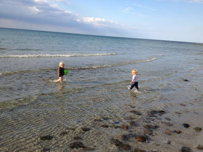 Bild 38 aus  Gut Friederikenhof