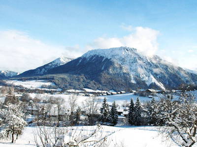 Bild 15 aus  Dammerer Hof