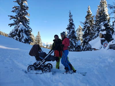 Bild 45 aus  Pröfinghof