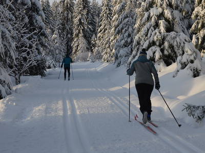 Bild 11 aus  Sternenhof