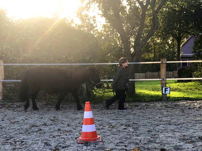 Bild 21 aus  Küstenhof Oldewurtel