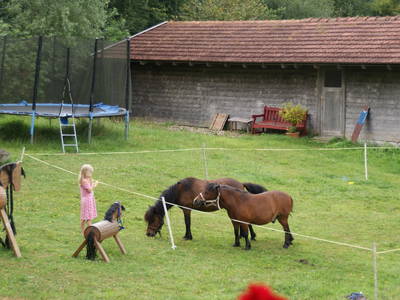 Bild 13 aus  Ferienhof Pauli