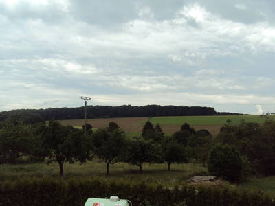 Blick ins Grüne vom Ferienhaus