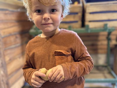 Bild 8 aus  BIO Ferienhof Schütterle