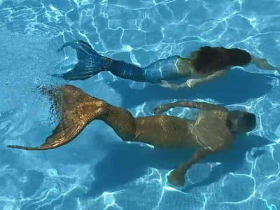 Meerjungfrauen im Pool
