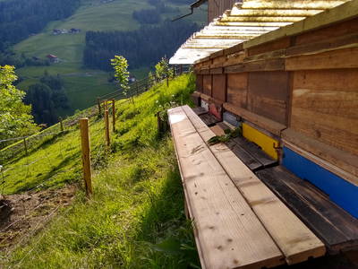 Bild 3 aus  Gschliererhof