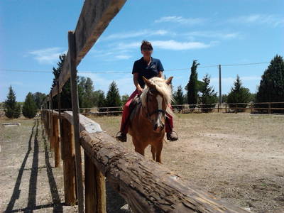Bild 39 aus  Urlaub auf dem Lande zwischen den zwei Meeren - Apulien - Salento