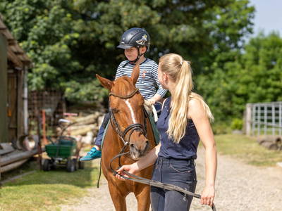 Bild 10 aus  Ferienhof Schmeling