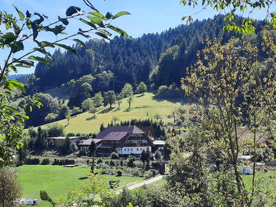 Bild 2 aus  Langenhof im Schwarzwald bei Oppenau