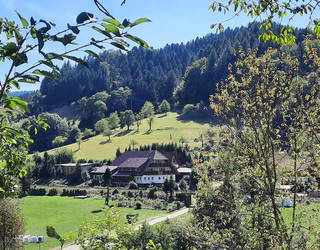 Langenhof im Schwarzwald bei Oppenau aus Oppenau