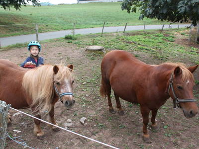 Bild 14 aus  Schmiedshof