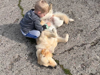 Bild 18 aus  Schwalbenhof