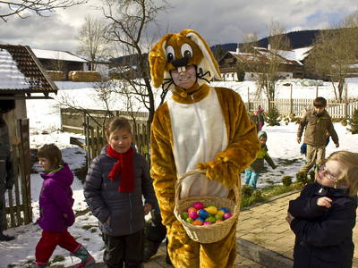 Bild 94 aus  Paulas Bauernhof im Bayerischen Wald