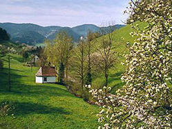 Bild 8 aus  Vorderhof