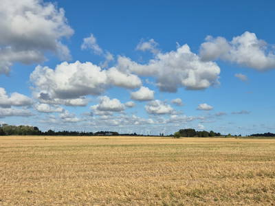 Felder und Wolken