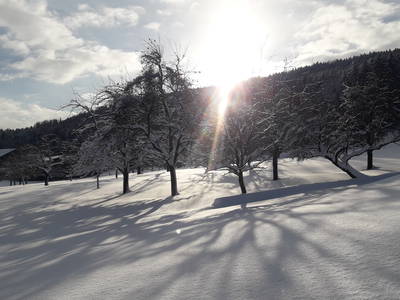 Bild 2 aus  Kornhuber Hof