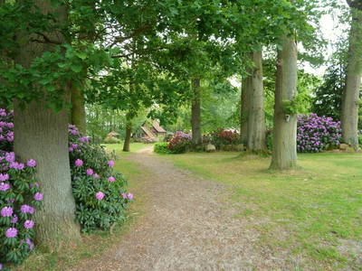 Der Weg zum Backhaus