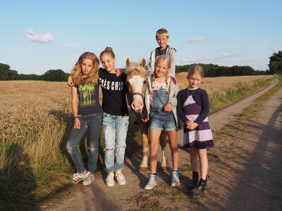 Bild 48 aus  Gestüt Hof am See