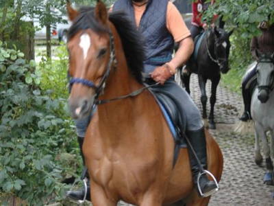 Bild 10 aus  Hof Carmshausen & Pension Hotze