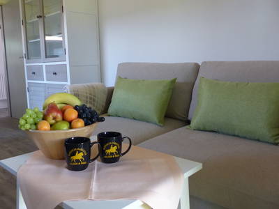 Bild 23 aus  Bernsteinreiter Barth