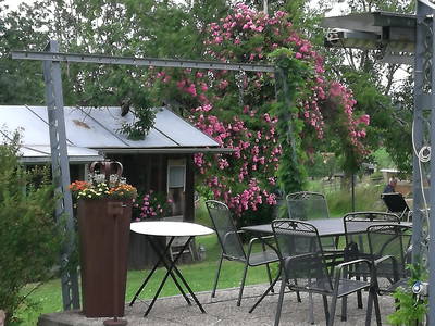 Bild 16 aus  Dilger`s Landhof