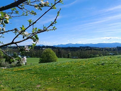 Bild 20 aus  Knoglerhof am Rinser See