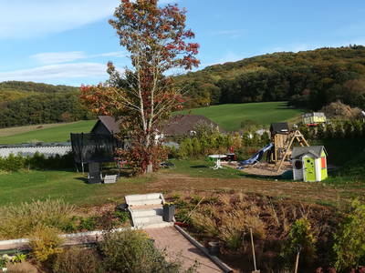 Bild 8 aus  Marienhof