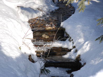 Bild 53 aus  Masererhof - Ferienbauernhof im Chiemgau