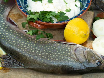 Bild 28 aus  Hollweck's Landoase