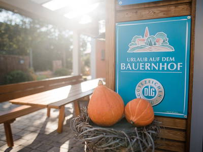 Bild 38 aus  Simmernhof Mossendorf