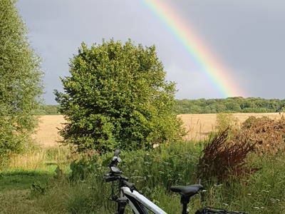 Bild 37 aus  Urlaub unterm Reet