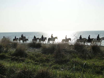 Ponyreiten an der Ostsee auf Fehmarn