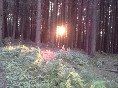 Bild 11 aus  Ferienhof Pulte