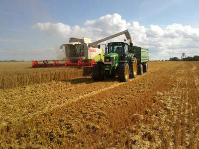 Bild 11 aus  Bauernhof Serck