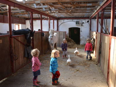 Bild 26 aus  Baustrup Hof