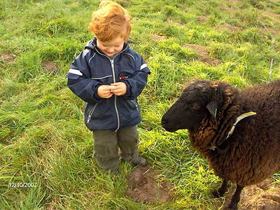 Bild 18 aus  Alte Scheune Krakvitz, Inh. Gisela Stolpe&Peter Hübner