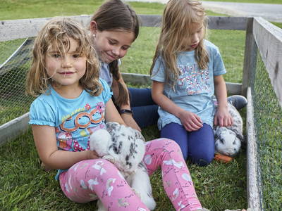 Bild 20 aus  Urlaub am Schoffahanslof im Bayerischen Wald: Natur, Abenteuer & Erholung für die ganze Familie“