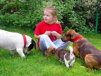 Bild 20 aus  Ramsteinerhof