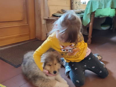 Bild 23 aus  Ferienparadies am Rennweg