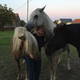 Hartmut Grein Avatar