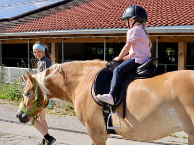 Bild 18 aus  Fuchsbauernhof