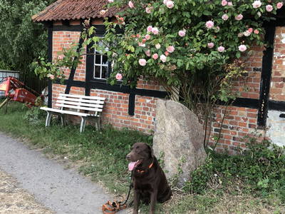 Bild 90 aus  Ostsee Ferienhof Kluvetasch