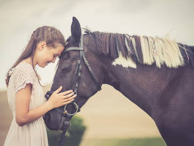 Bild 32 aus  Bauer Korl's Golchener Hof