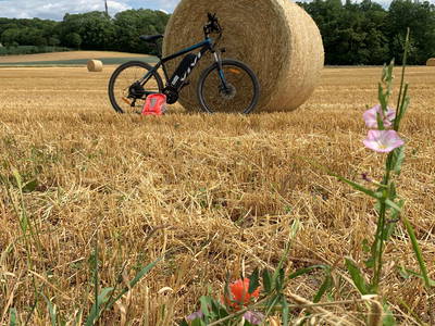 Bild 29 aus  Gästehaus im Lochautal