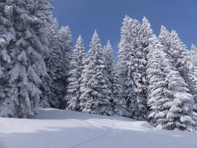 Bild 12 aus  Erlenhof