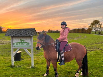 Bild 17 aus  Ferienhof Sell Bauernhofurlaub Ostsee Ponys